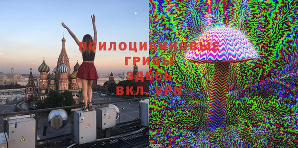 гидропоника Белокуриха