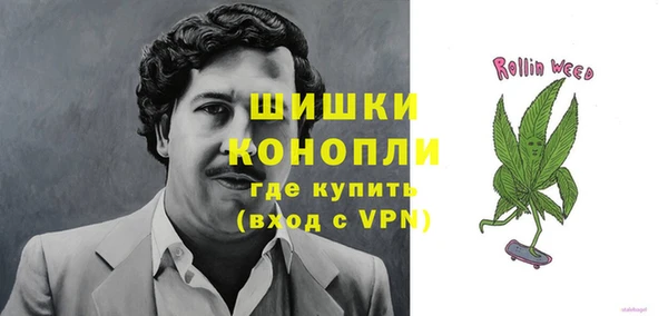 гидропоника Белокуриха