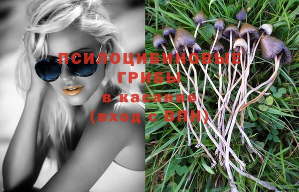 гидропоника Белокуриха